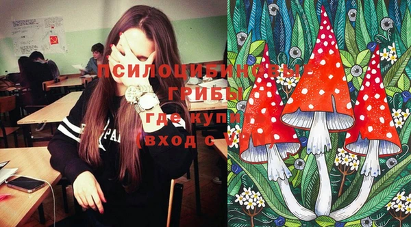 ECSTASY Вязники