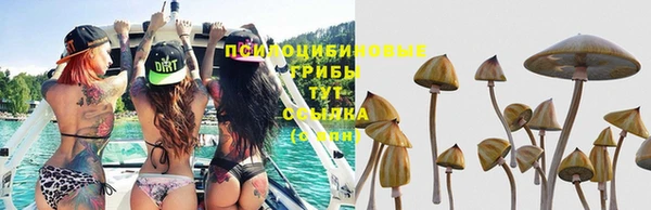 мескалин Вязьма
