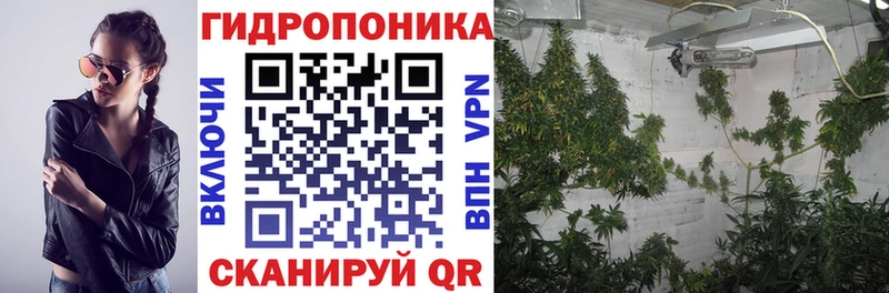 Шишки марихуана гибрид  Обь 